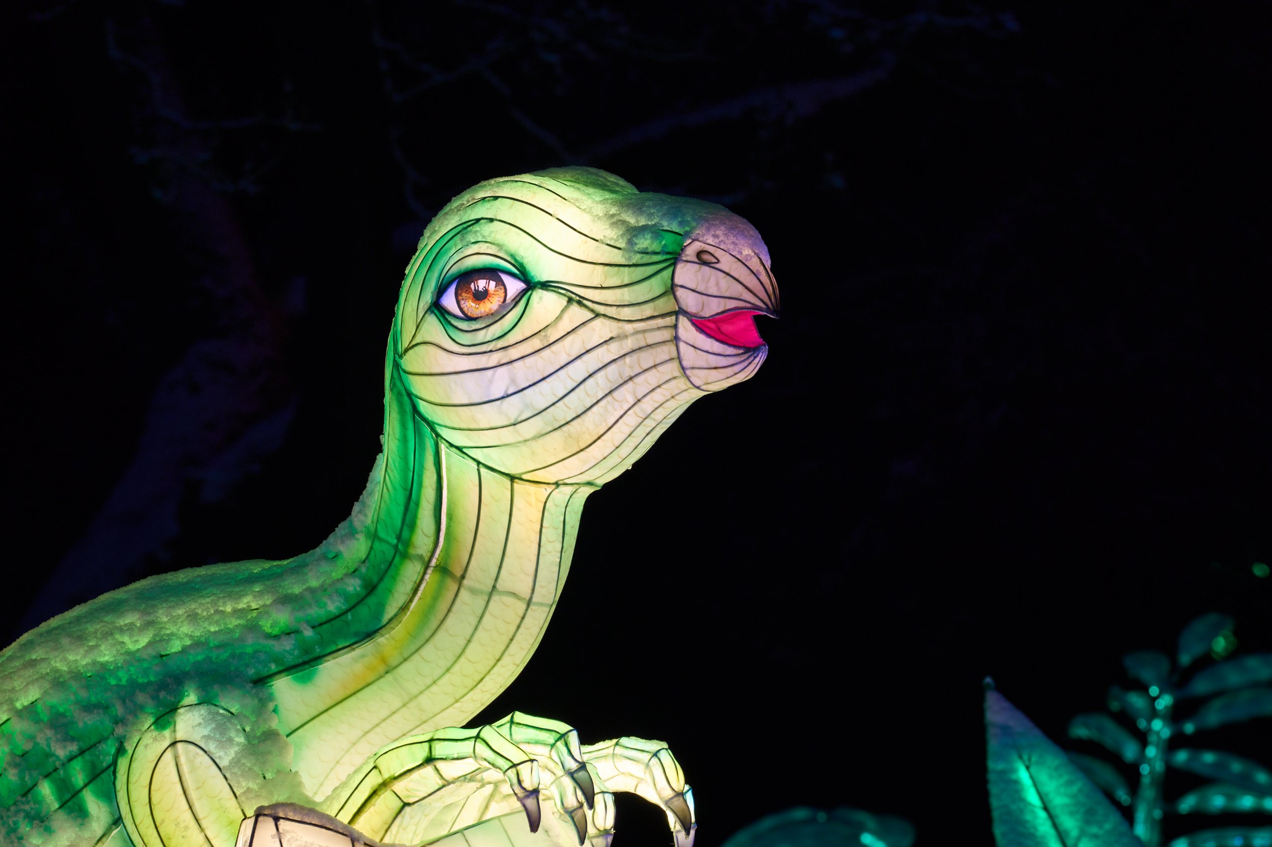 2026 01 05 China Lights 0265